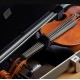 Boveda Hudimifiador Violín/Viola/Guitarra